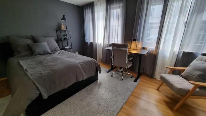 Ickstatt Studio Appartement *